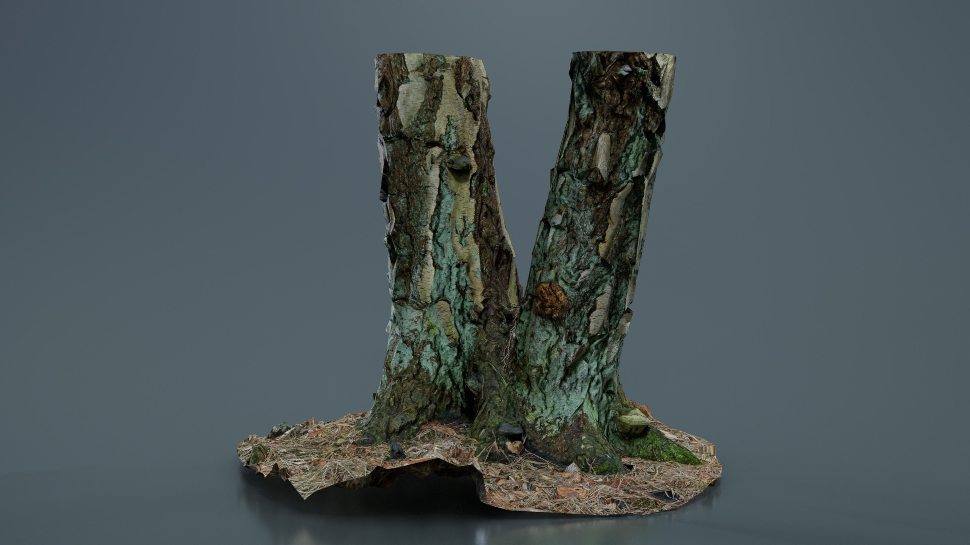 3D Split Tree Foundation Stump Remastered Model - TurboSquid 2363148