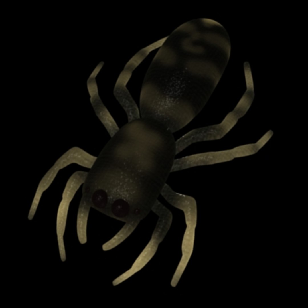 3d Salticus Scenicus