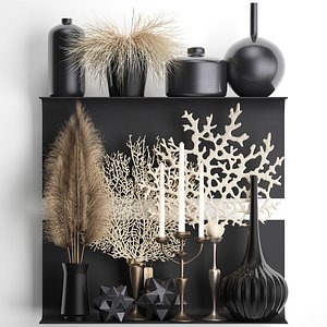 Decorative shelf with coral and reeds