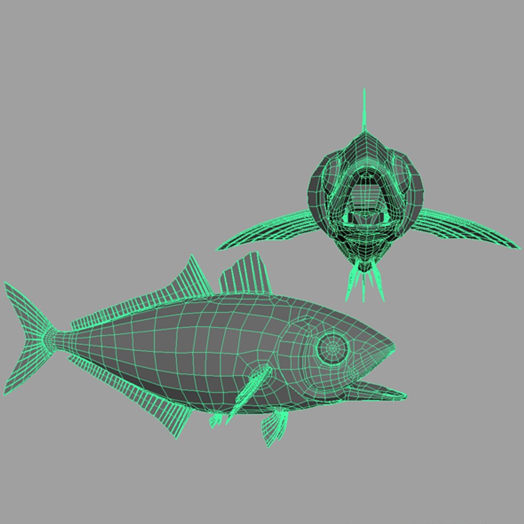 3d lowpolygon animal model https://p.turbosquid.com/ts-thumb/ov/02d22v/5ujhLpP3/image1/jpg/1405061991/1920x1080/fit_q87/32584d6b0ad585917ec72e0022277beb6e469784/image1.jpg