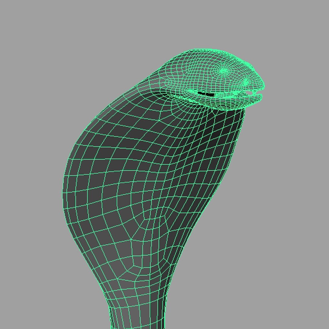 3d lowpolygon animal model https://p.turbosquid.com/ts-thumb/ov/02d22v/Q3jvxyho/image10/jpg/1405061992/1920x1080/fit_q87/5d2449745bf1d15f8c87ba1cf741c93732cdabcf/image10.jpg