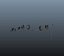 Animaux 3D Lowpolygon