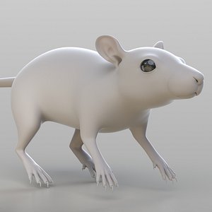 realistic rat model