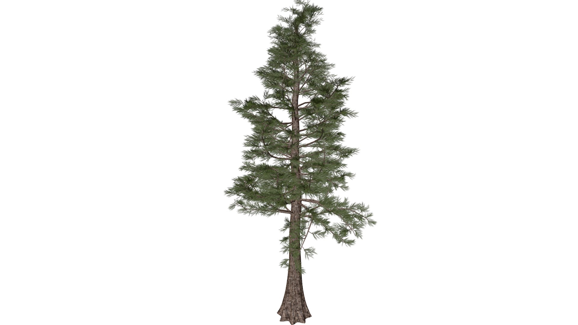 Western Red Cedar Tree Collection 3D https://p.turbosquid.com/ts-thumb/ov/LBRI1l/1f/westernredcedar_high30/png/1779223125/1920x1080/fit_q87/f029640f3dc4ea0319642be99db1f90c94b9a4db/westernredcedar_high30.jpg