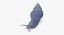 Grove Snail 03