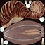 Grove Snail 03
