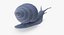 Grove Snail 03