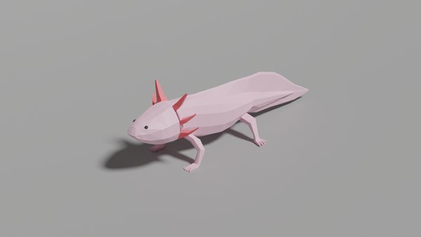 Axolotl, Ajolote, Ambystoma Mexicanum 3D CAD Model Library, 55% OFF