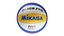Mikasa Pro BV 550c beach volleyball