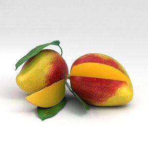 mango 3D model