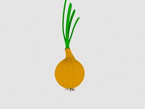 onion