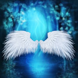 feathers wings 3d model
