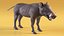 Warthog Basic Pose 3D model