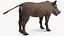 Warthog Basic Pose 3D model