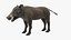 Warthog Basic Pose 3D model