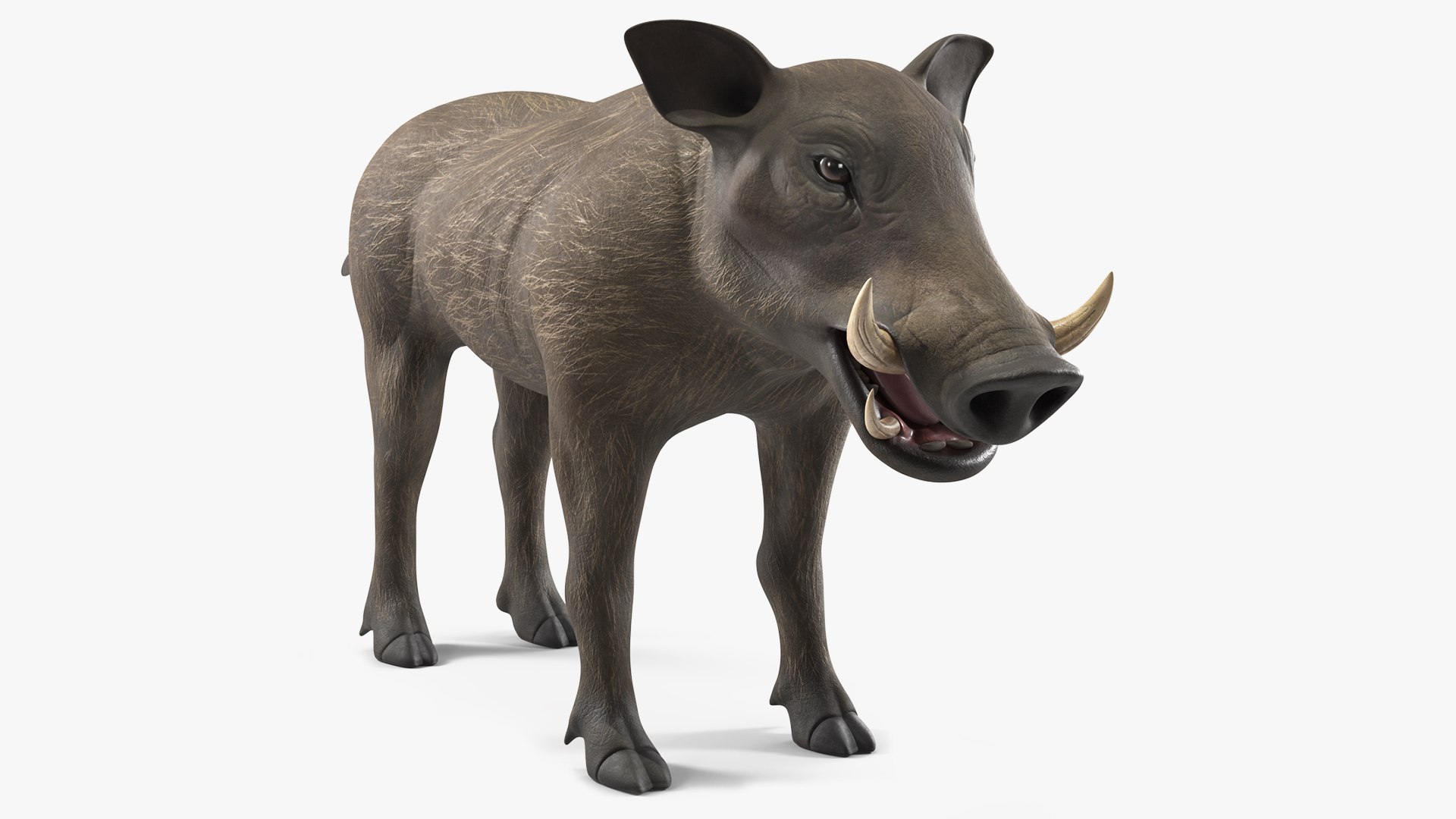 African Mammals Collection 2 3D model preview