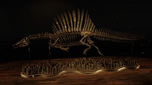 Spinosaurus Diorama Swimming Skeleton 3D model