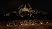 Spinosaurus Diorama Swimming Skeleton