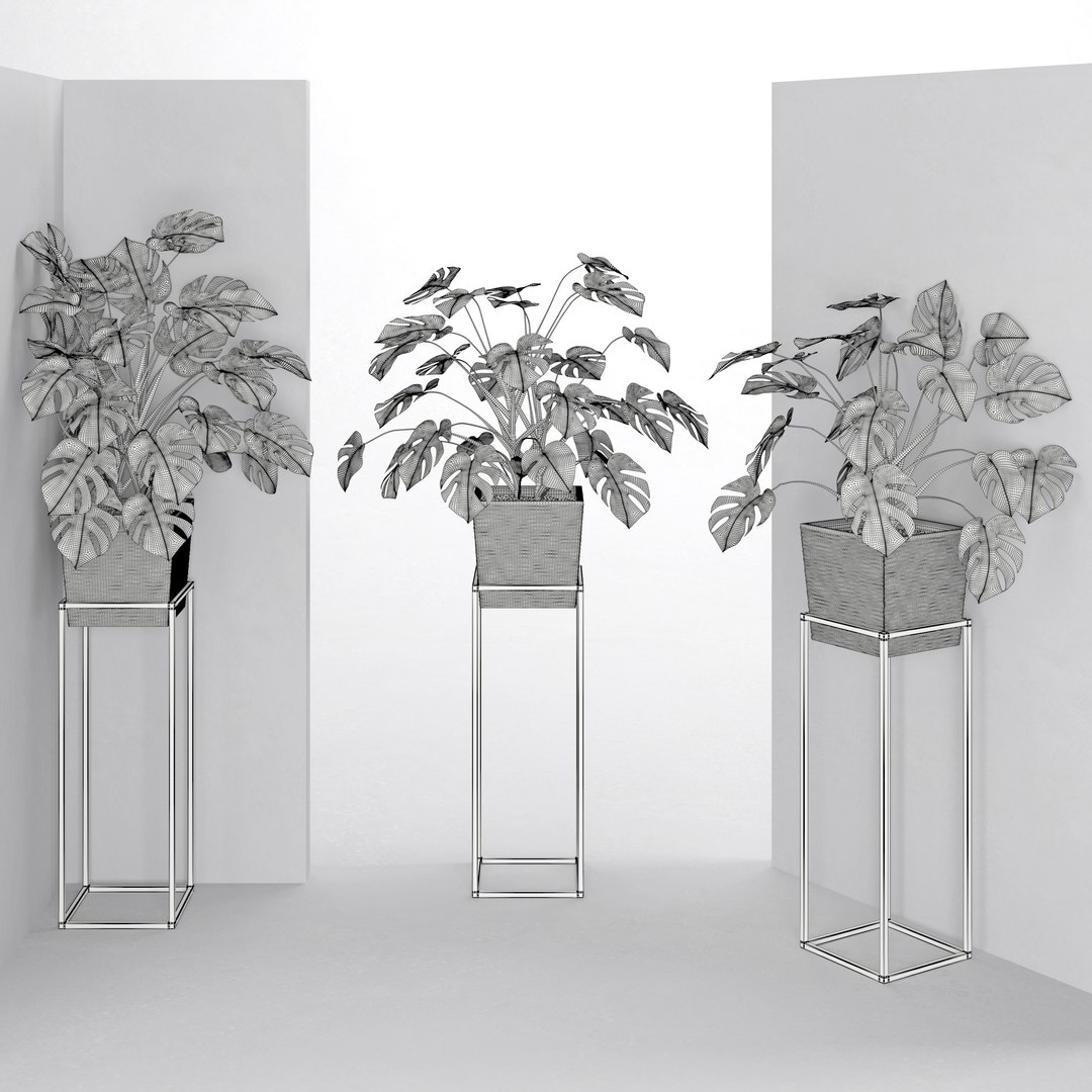 3D houseplant 38 wall collisions https://p.turbosquid.com/ts-thumb/ov/sGFisq/4qOP2iM3/2/jpg/1559235959/1920x1080/fit_q87/8264242d7134abbf06ed334b7015a4f5f31cc1cf/2.jpg