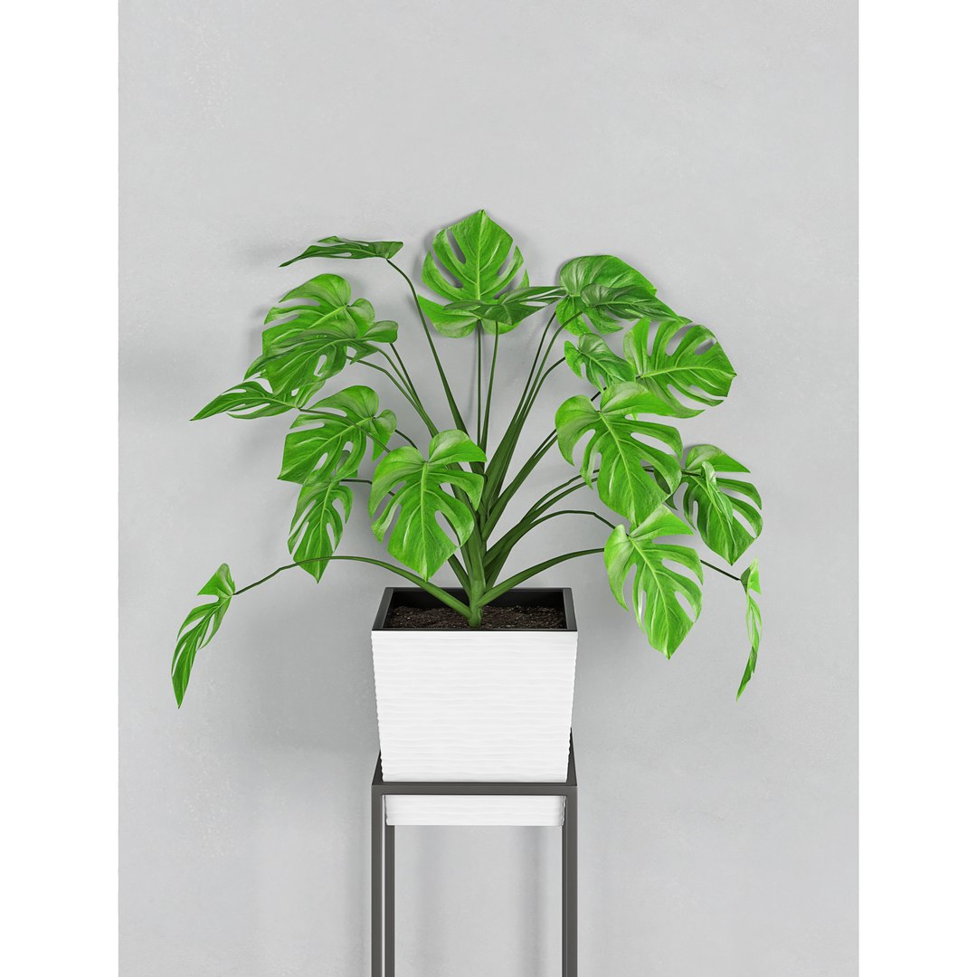 3D houseplant 38 wall collisions https://p.turbosquid.com/ts-thumb/ov/sGFisq/LutVModY/5/jpg/1559235959/1920x1080/fit_q87/c3edb96f9be5d62ec5d3afc2d437584f495a5e31/5.jpg