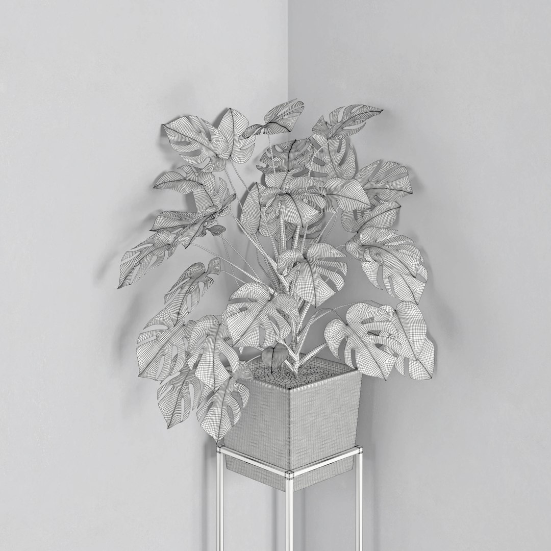3D houseplant 38 wall collisions https://p.turbosquid.com/ts-thumb/ov/sGFisq/Sp8g3kB8/4/jpg/1559235959/1920x1080/fit_q87/786c8b627feb3bdb9557057672e4b0c324b6c9ea/4.jpg