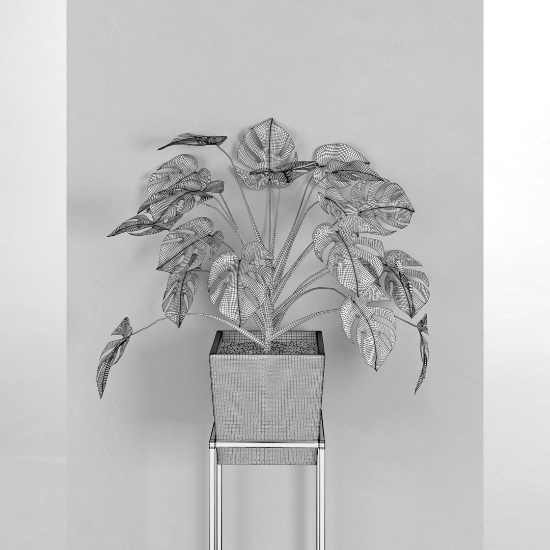 3D houseplant 38 wall collisions https://p.turbosquid.com/ts-thumb/ov/sGFisq/pMLbqmYh/6/jpg/1559235959/1920x1080/fit_q87/b3b90955c24d4a08233fe01dde6e882f9d3f287a/6.jpg