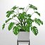 観葉植物38（壁の衝突）