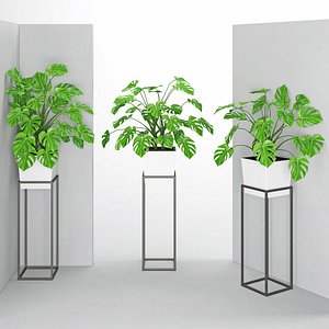 3D houseplant 38 wall collisions
