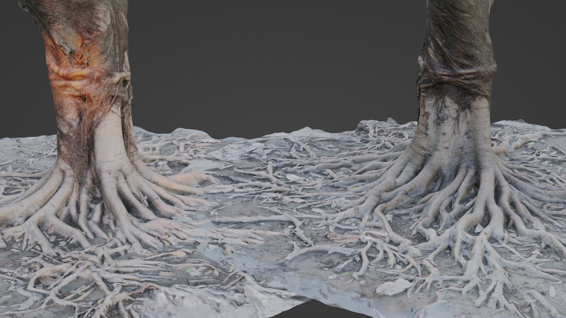Gaint Roots Tree 3D Model - TurboSquid 2329776