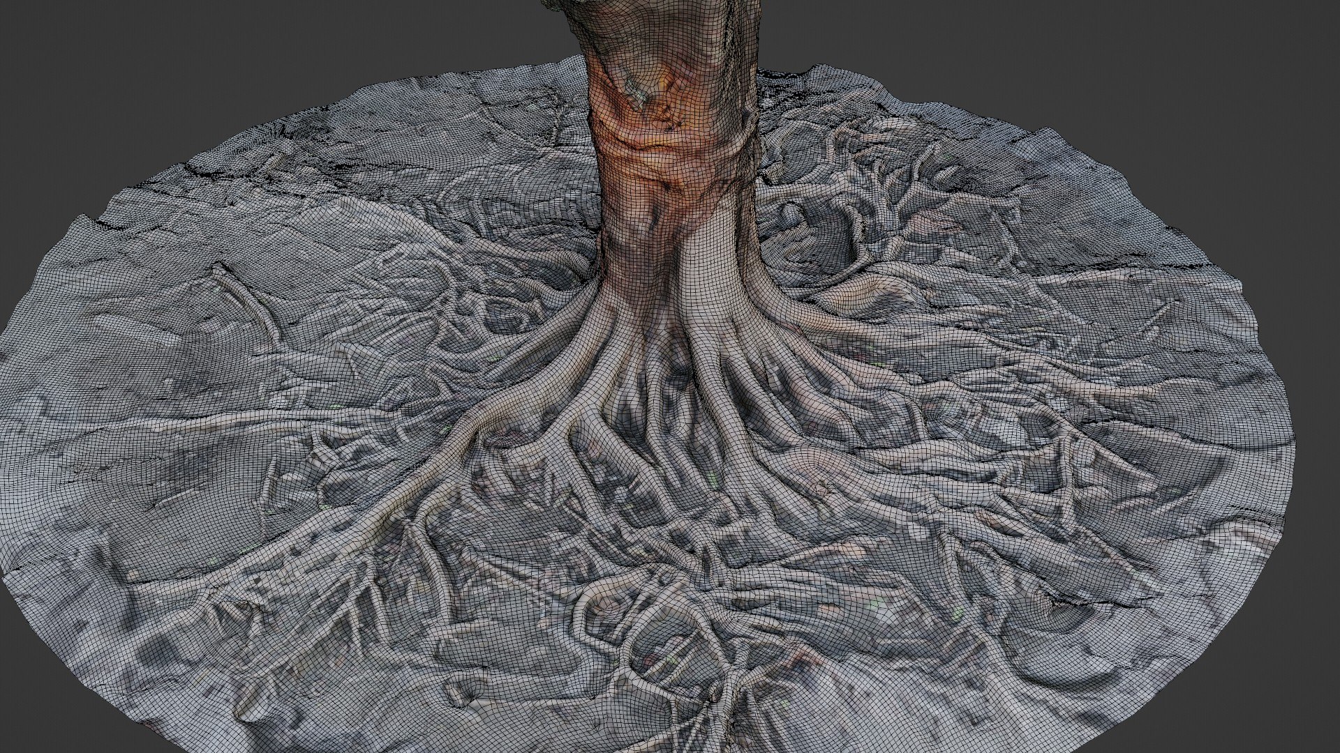 Gaint Roots Tree 3D Model - TurboSquid 2329776