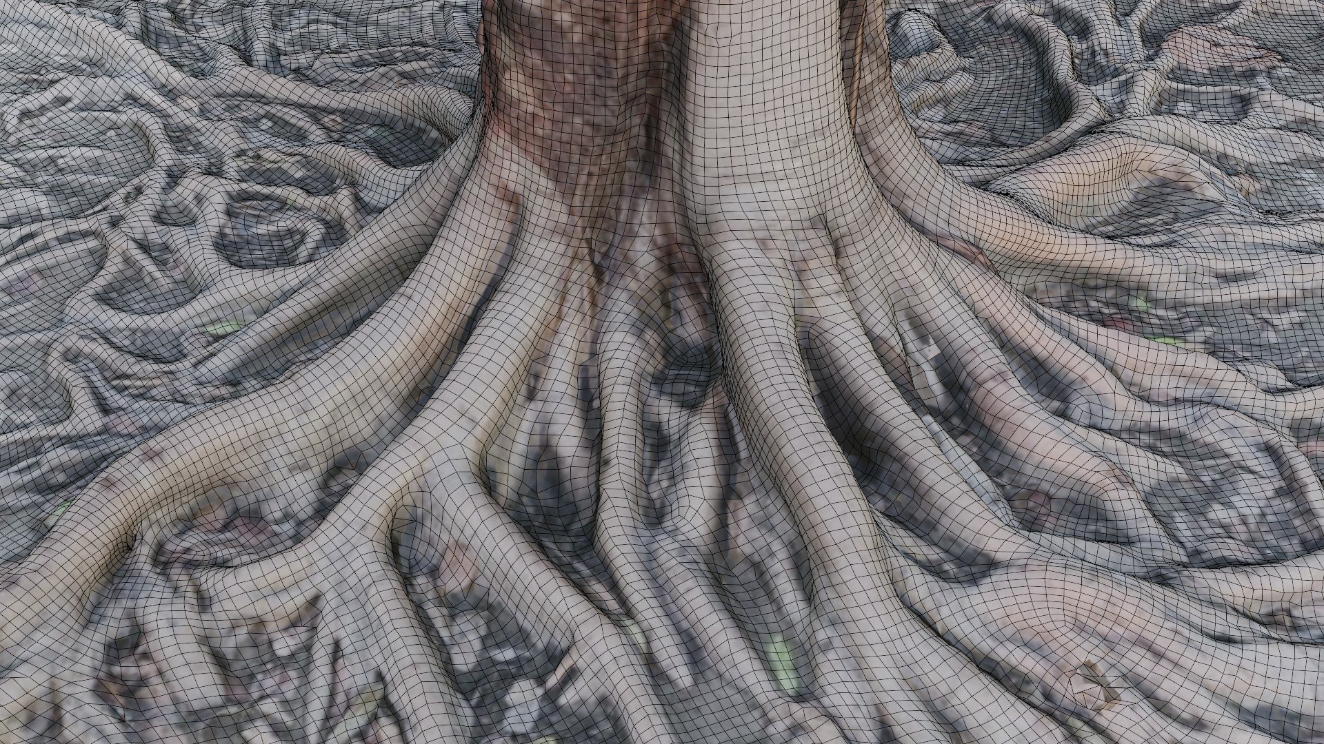 Gaint Roots Tree 3D Model - TurboSquid 2329776