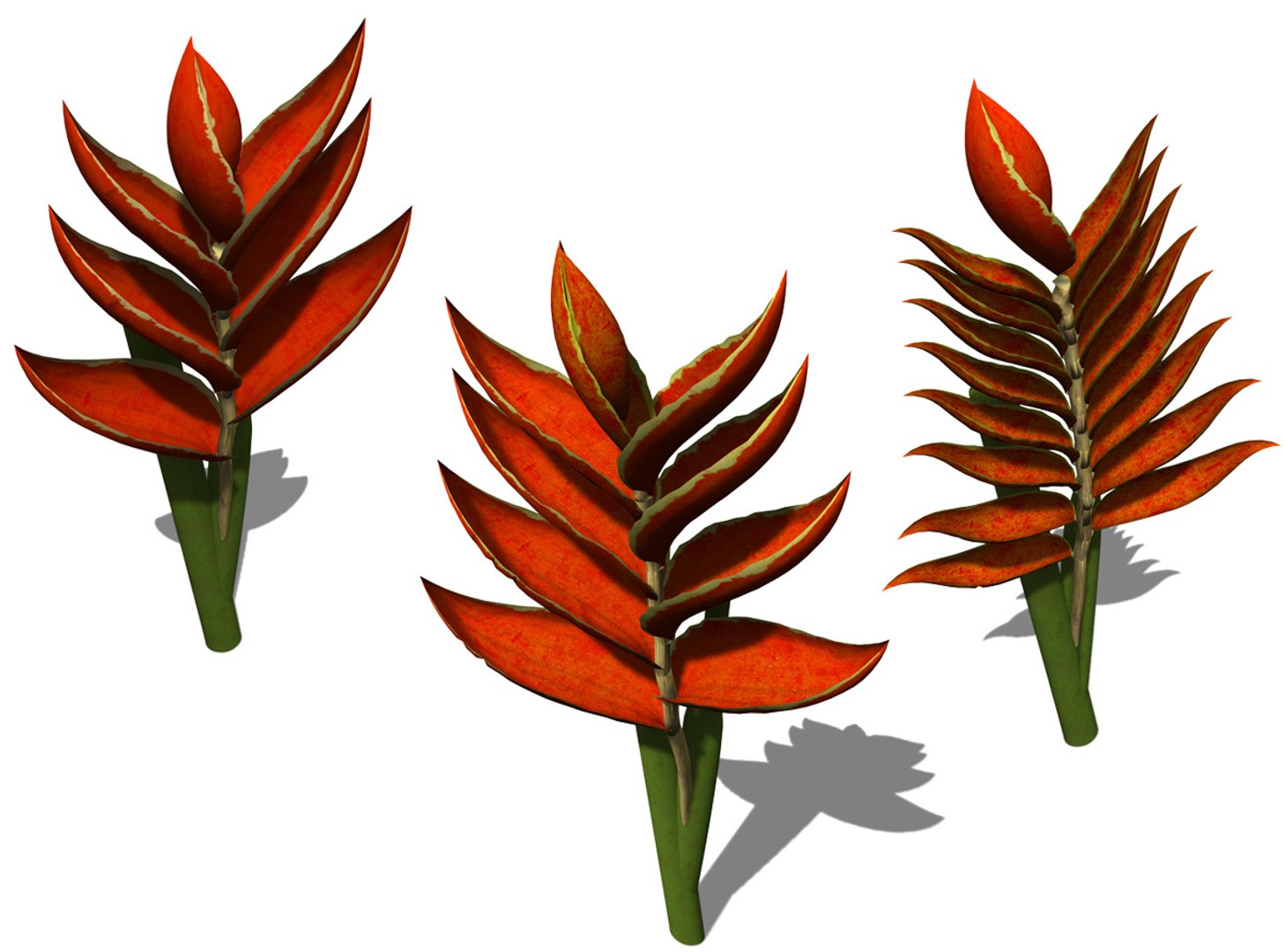 xfrogplants firebird plant bird 3d max https://p.turbosquid.com/ts-thumb/ow/KvSKoh/6476Er87/fl10_trio/jpg/1341518652/1920x1080/fit_q87/60450fecc2f409af1134e5709ec56a1ca9eb84ec/fl10_trio.jpg