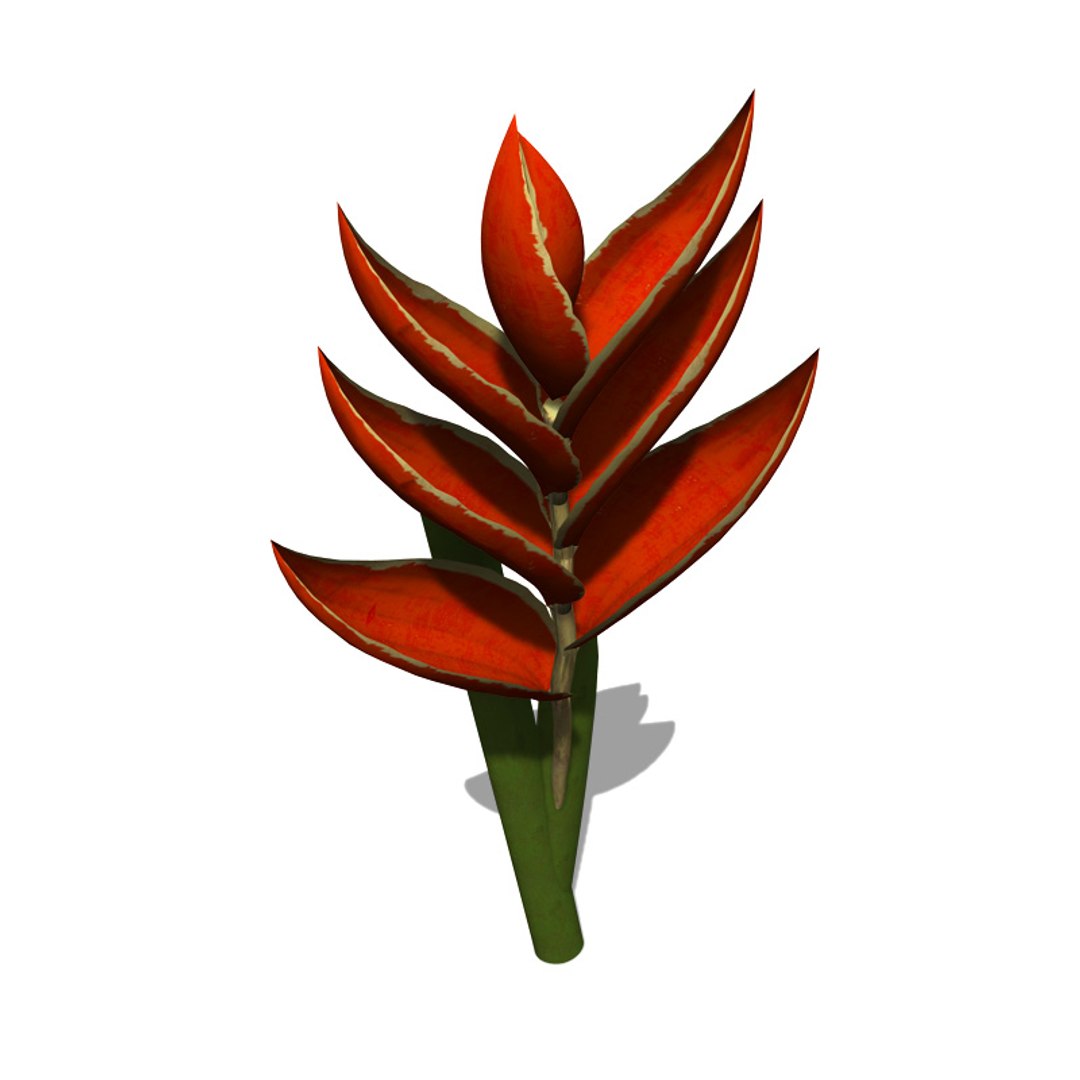 xfrogplants firebird plant bird 3d max https://p.turbosquid.com/ts-thumb/ow/KvSKoh/UVkbbGk0/fl10firebird1/jpg/1462492942/1920x1080/fit_q87/c9b7467a33d63bc07c1feb2b708f5ad98a8b3f9f/fl10firebird1.jpg