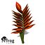 XfrogPlants Firebird
