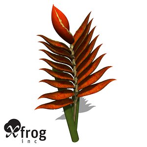 XfrogPlants Firebird