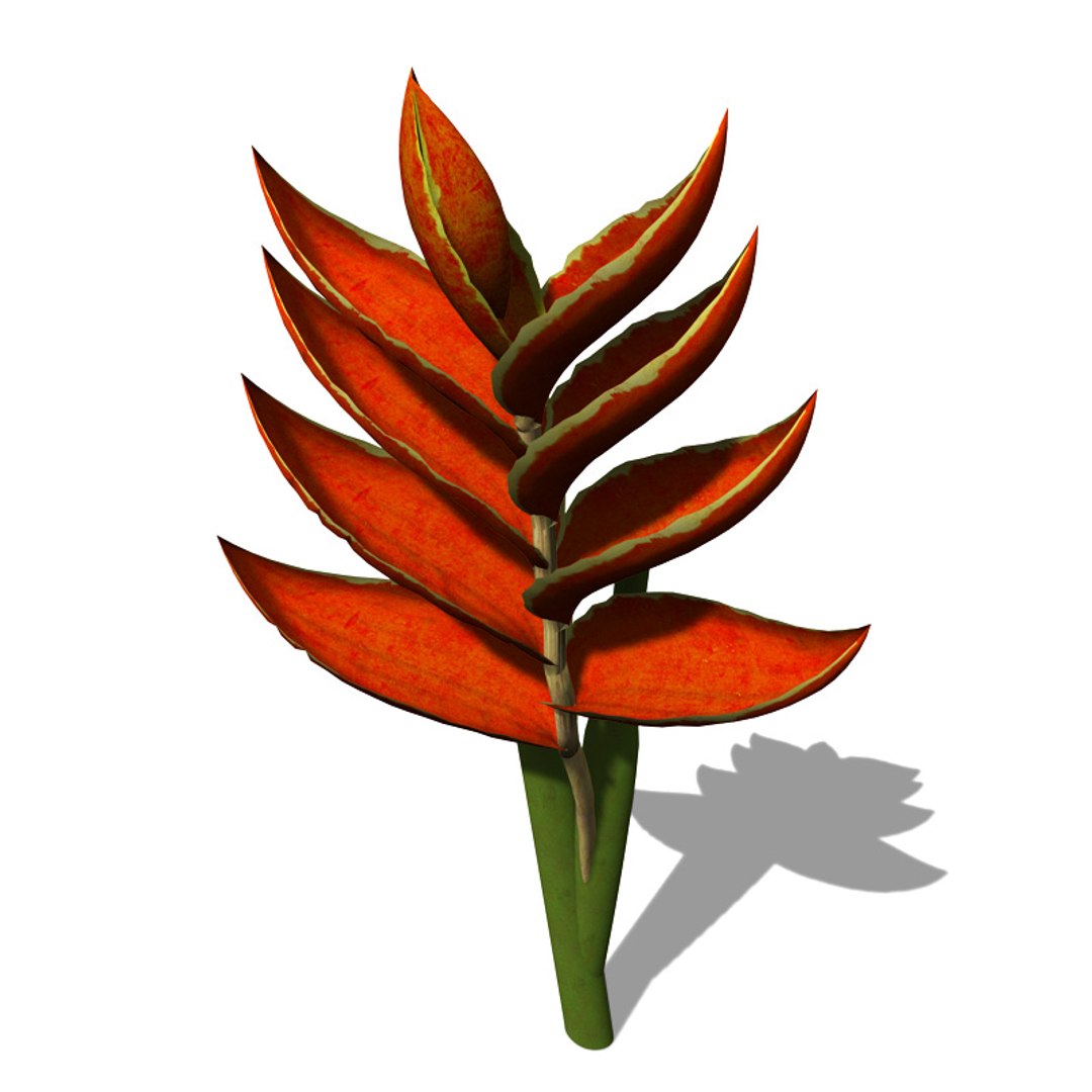 xfrogplants firebird plant bird 3d max https://p.turbosquid.com/ts-thumb/ow/KvSKoh/vWVWQ15j/fl10firebird2/jpg/1462492942/1920x1080/fit_q87/cd4bb6d0e38495cc8d97ce78a5967bd4b551a8ed/fl10firebird2.jpg