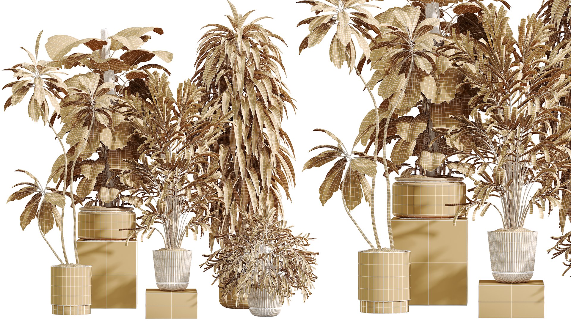 AV Indoor Plants Set 351 Dypsis Palm and Ficus Binnendijki and Ficus Cyathistipula and Elegant Monst 3D https://p.turbosquid.com/ts-thumb/ow/TFyv37/6r/07/png/1758541476/1920x1080/fit_q87/0cd1f3b0210430b798f03b3d107763545bab5d3d/07.jpg