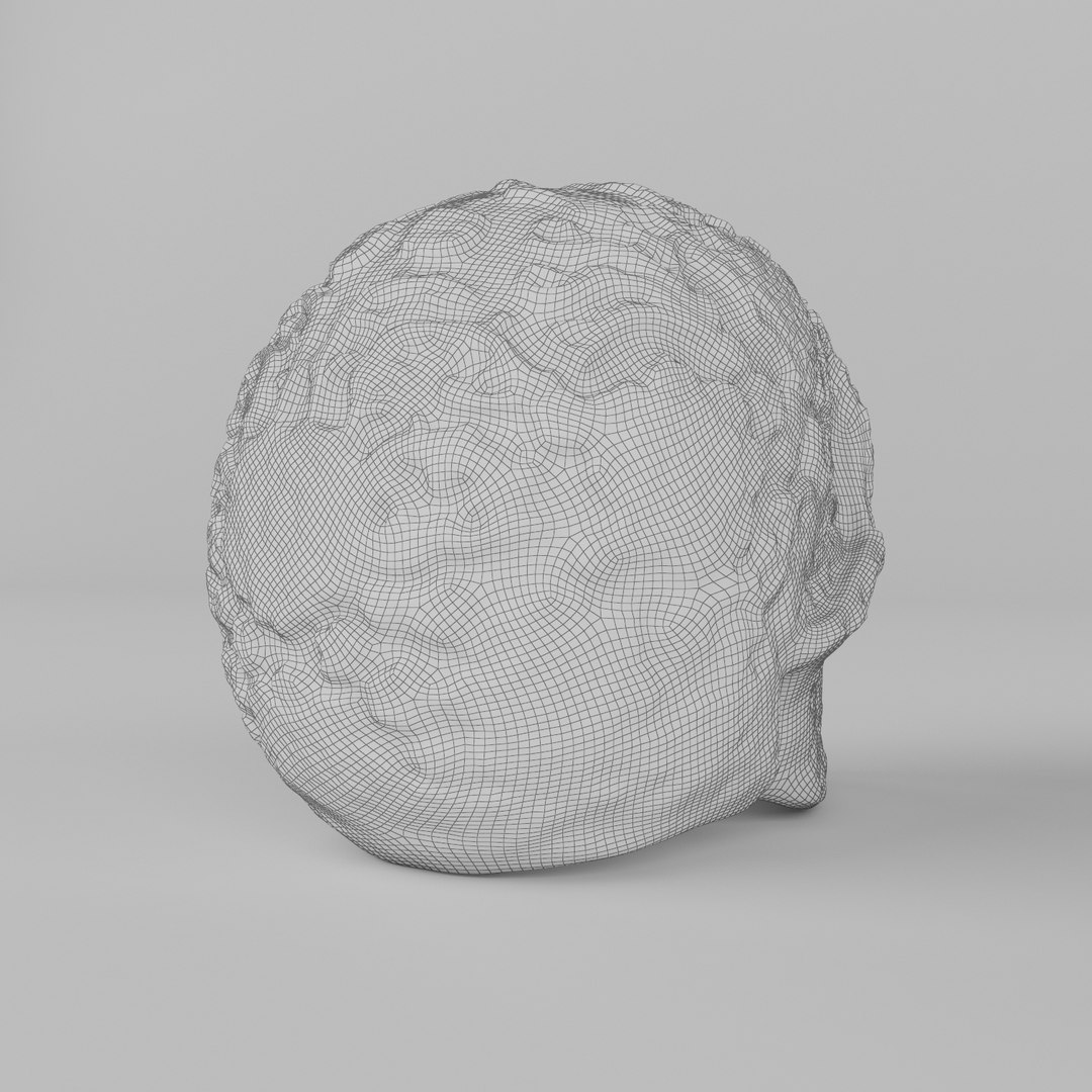 3d model art skull