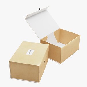3D Large Gift Box Combo Cardboard model