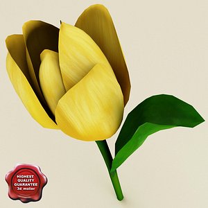 Yellow Tulip