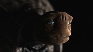 max morla turtle