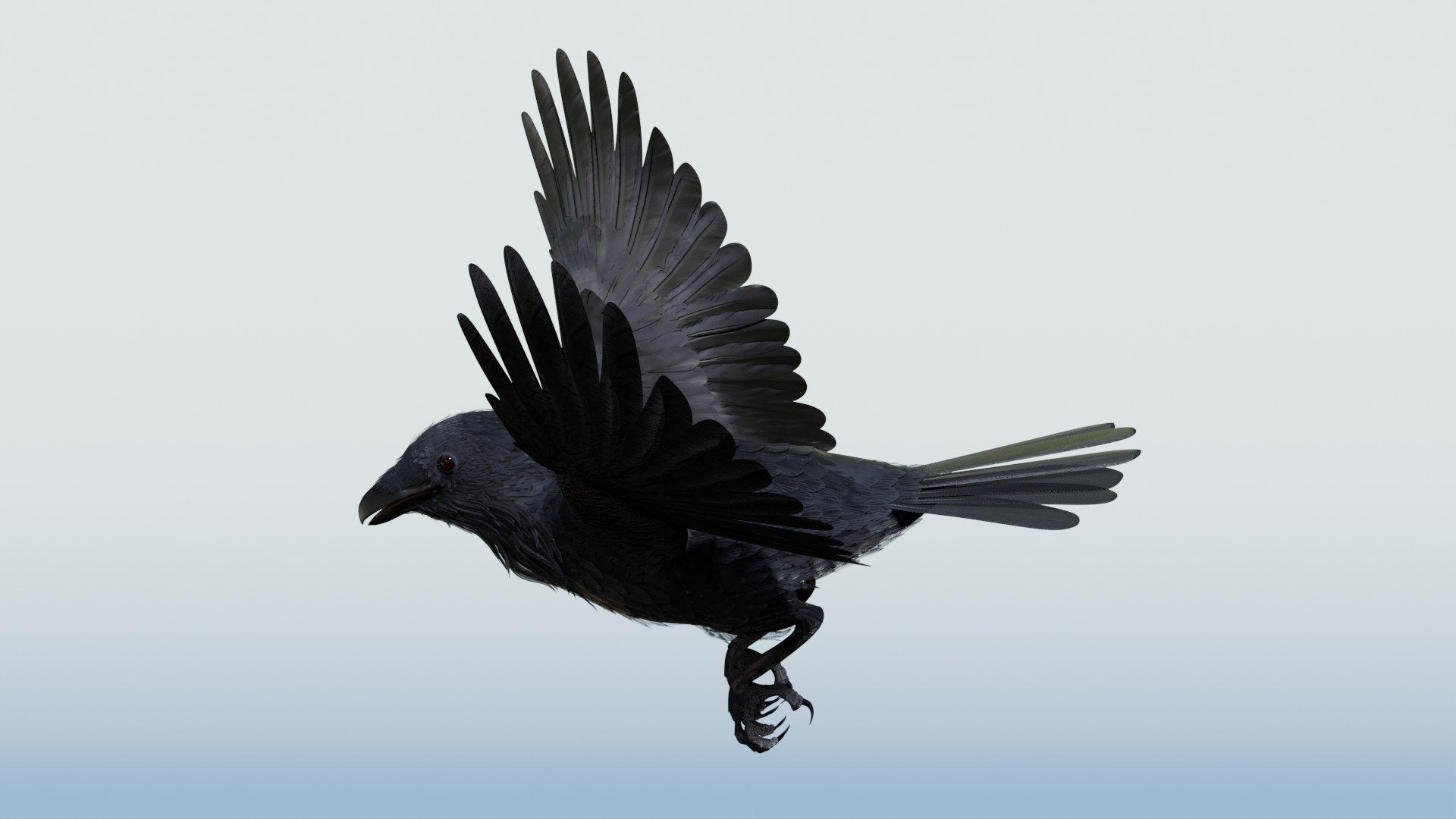 3D CROW - BLENDER model https://p.turbosquid.com/ts-thumb/ow/klYBbZ/61/landfollowf39/jpg/1659230172/1920x1080/fit_q87/3ce0057ce87a4f27a5174d9122254c27b0af9b1d/landfollowf39.jpg