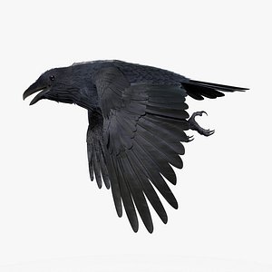 CROW - BLENDER