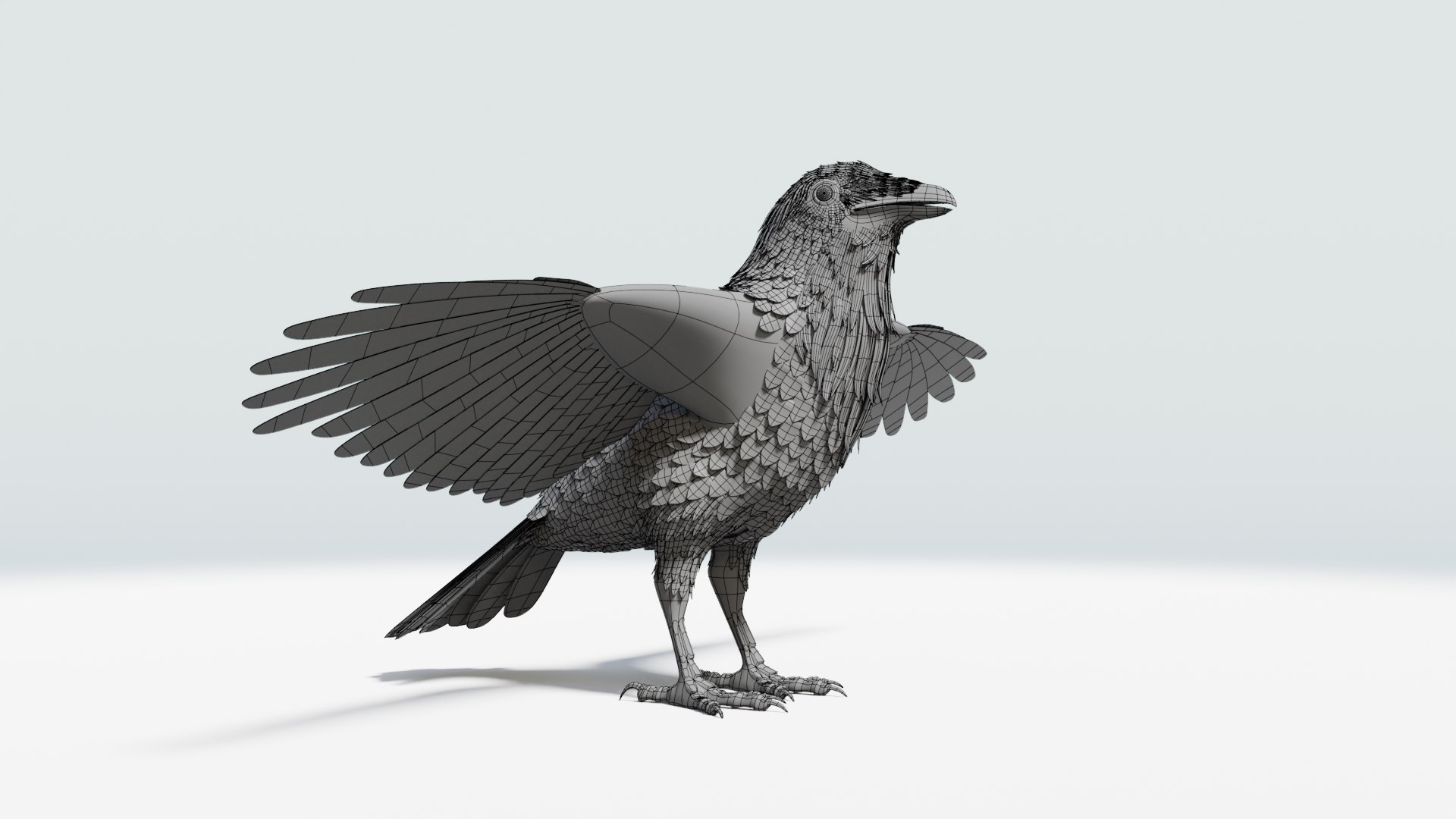 3D CROW - BLENDER model https://p.turbosquid.com/ts-thumb/ow/klYBbZ/IR/ttwire_0011/png/1659230181/1920x1080/fit_q87/e24fa93ad85f612fc9197ef4ef3c826d6fc2c1b1/ttwire_0011.jpg