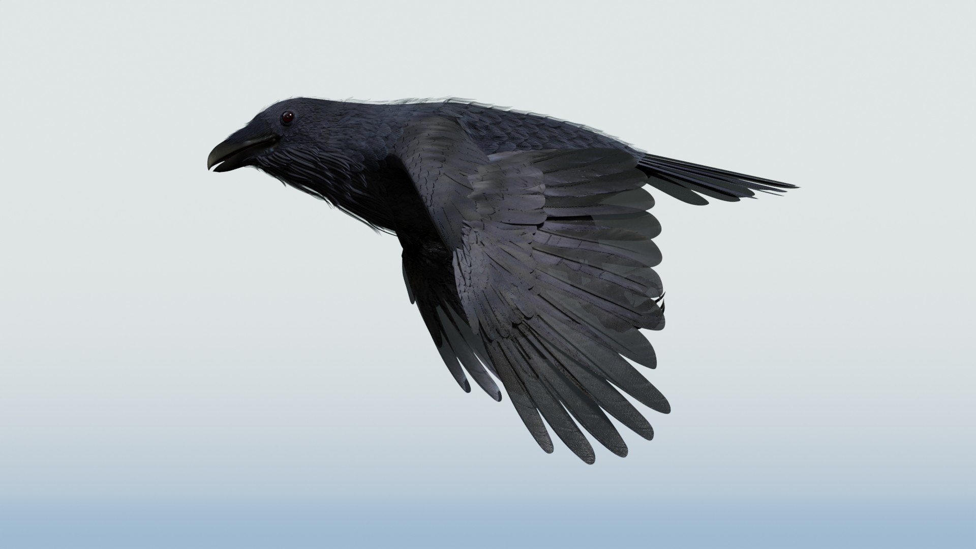3D CROW - BLENDER model https://p.turbosquid.com/ts-thumb/ow/klYBbZ/Is/takeofflinked272/jpg/1659230174/1920x1080/fit_q87/369a6db6b8890f8ddeeb649982597799dbcb7bd8/takeofflinked272.jpg