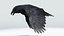 CROW - BLENDER