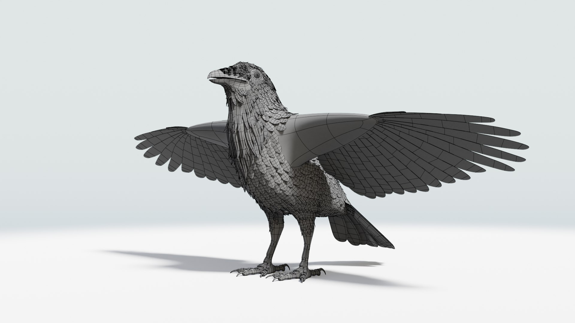 3D CROW - BLENDER model https://p.turbosquid.com/ts-thumb/ow/klYBbZ/S0/ttwire_0000/png/1659230181/1920x1080/fit_q87/b3e9dfd93e73fe7bebfc86f8d910a65ee2ac8976/ttwire_0000.jpg