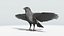 CROW - BLENDER