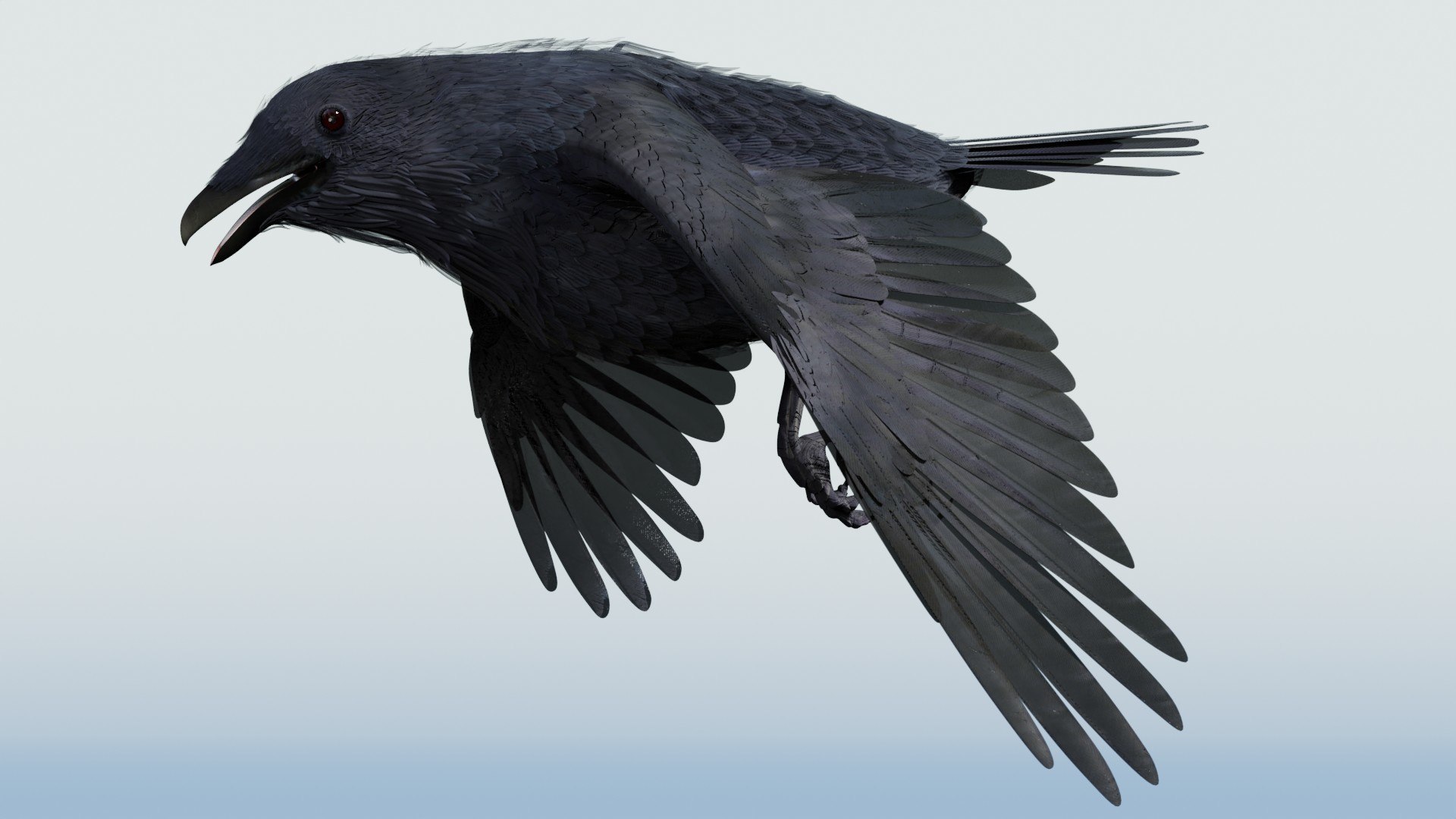 3D CROW - BLENDER model https://p.turbosquid.com/ts-thumb/ow/klYBbZ/TX/flyloopf89/jpg/1659230161/1920x1080/fit_q87/2b12e3c3e76f9abf486a69e8dc3cb9b9de779aab/flyloopf89.jpg