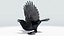 CROW - BLENDER